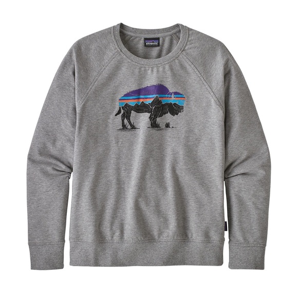 Patagonia Other - PATAGONIA Fitz Roy Bison Ahnya Organic Cotton Crew Sweatshirt